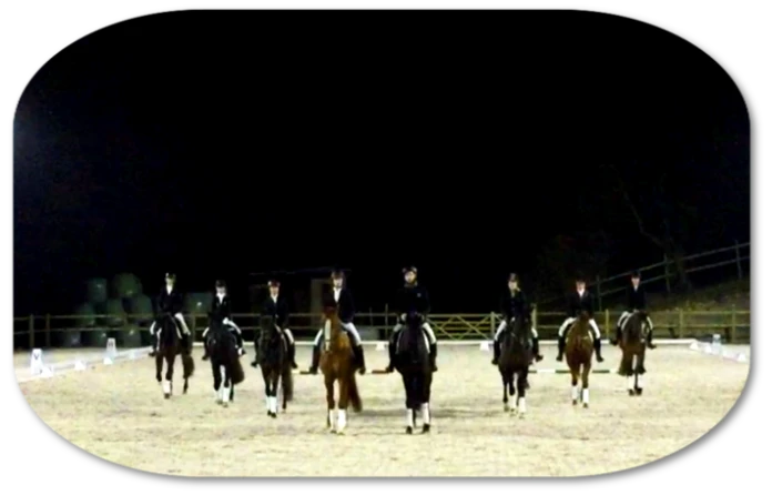 Simulation Reitplatz mit Flutlicht